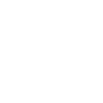 Genuine Steam Ironing